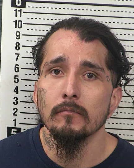 FERNANDO IBARRA mugshot - Las Cruces arrest, Doña Ana County