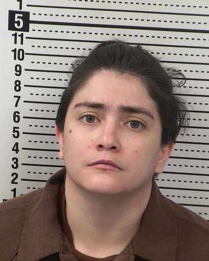 DIANA PEREZ mugshot - Las Cruces arrest booking photo, Doña Ana County