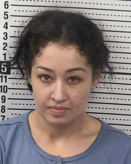 ANAHITA TAVAKOLI-NEJAD mugshot - Las Cruces arrest booking photo, Doña Ana County