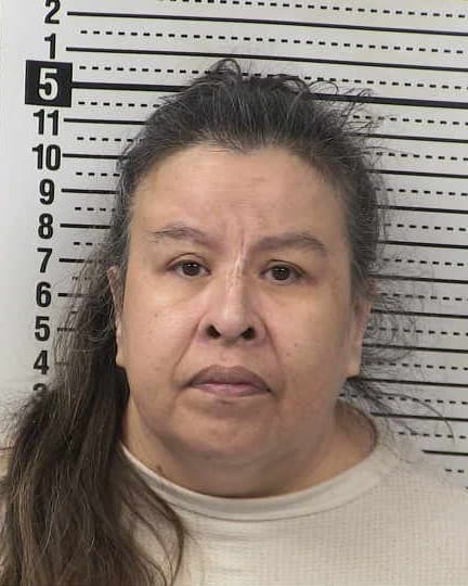 MELISSA ORTIZ mugshot - Las Cruces arrest booking photo, Doña Ana County
