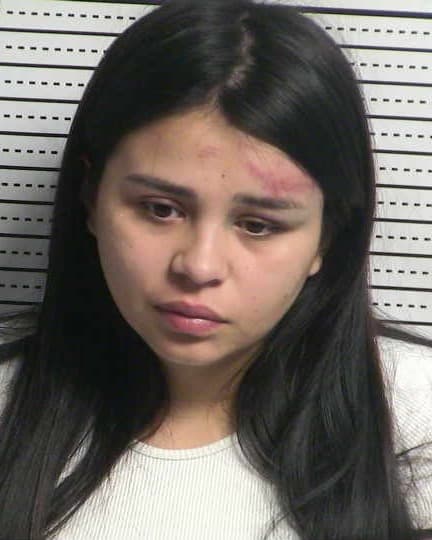YVONNE ROMERO mugshot - Las Cruces arrest, Doña Ana County