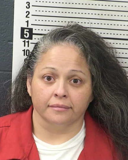 ANN TERRAZAS mugshot - Las Cruces arrest booking photo, Doña Ana County