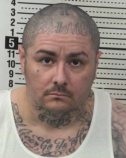 MICHAEL MARLIN MARTIN mugshot - Las Cruces arrest booking photo, Doña Ana County