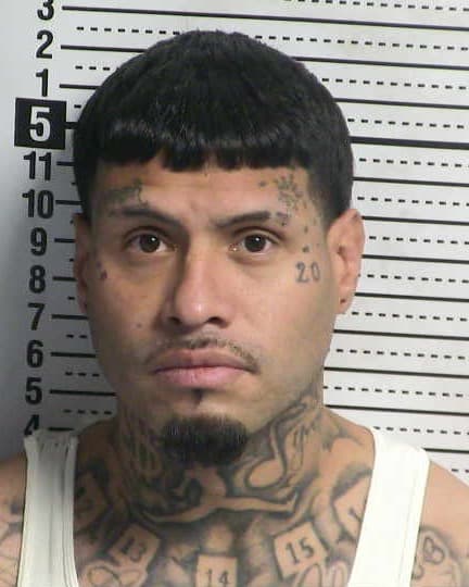 SERGIO SEANEZ mugshot - Las Cruces arrest, Doña Ana County