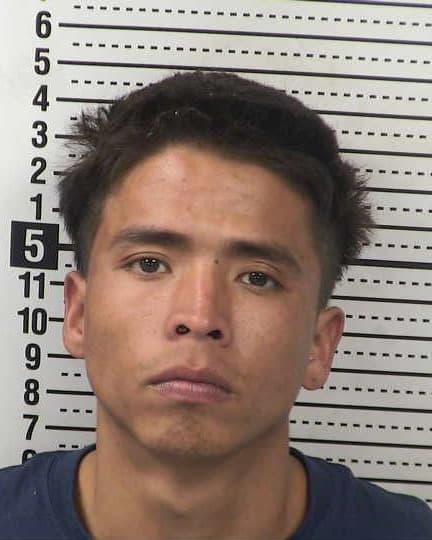 ALEJANDRO CASTILLO-TORRES mugshot - Las Cruces arrest booking photo, Doña Ana County