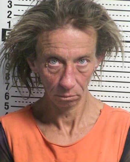 JILL M TUCKER mugshot - Las Cruces arrest booking photo, Doña Ana County