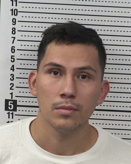 LUIS FERNANDO LOPEZ-DELGADO mugshot - Las Cruces arrest booking photo, Doña Ana County