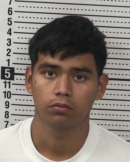 DAVID MARTINEZ-ALDAMA mugshot - Las Cruces arrest booking photo, Doña Ana County
