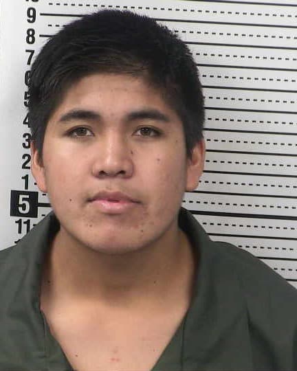 LISMER FERNANDEZ-FERREL mugshot - Las Cruces arrest booking photo, Doña Ana County