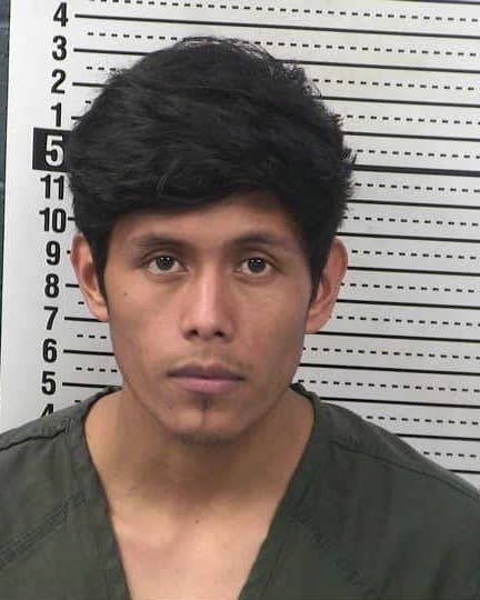 NELSON SALES-SANCHEZ mugshot - Las Cruces arrest booking photo, Doña Ana County