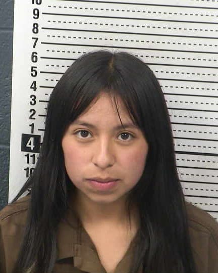 ANGELICA ARGUELLO-LUNA mugshot - Las Cruces arrest booking photo, Doña Ana County