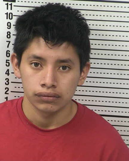 HENRY GABRIEL-BOCEL mugshot - Las Cruces arrest booking photo, Doña Ana County