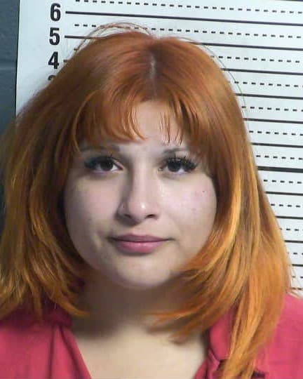 ALONDRA LOPEZ mugshot - Las Cruces arrest, Doña Ana County