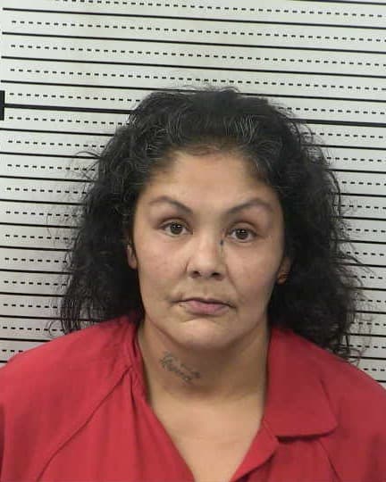 JULIE MUNOZ mugshot - Las Cruces arrest booking photo, Doña Ana County