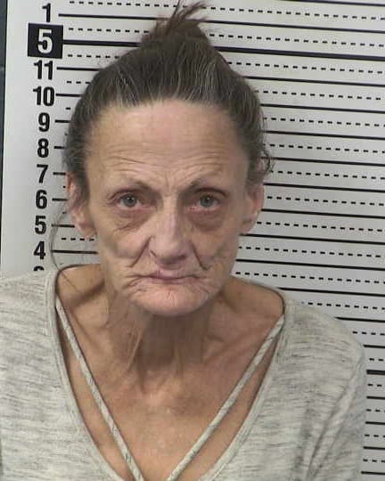 PAIGE CHAVEZ mugshot - Las Cruces arrest, Doña Ana County