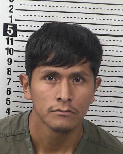 FRANCISCO ALAVI-ARIAS mugshot - Las Cruces arrest booking photo, Doña Ana County