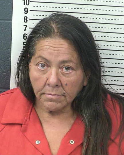 DIANE HOLCOMB mugshot - Las Cruces arrest, Doña Ana County