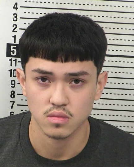 BRIAN PENA TREVINO mugshot - Las Cruces arrest, Doña Ana County