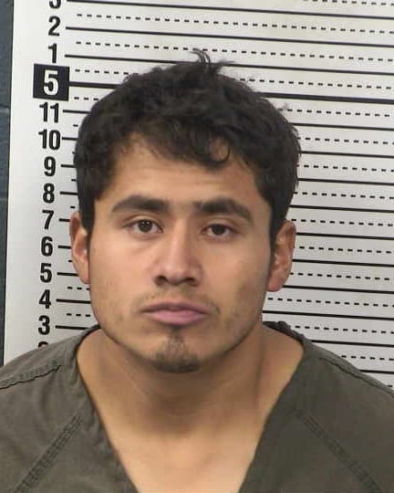 ALAN GONZALEZ-ELIZALDE mugshot - Las Cruces arrest booking photo, Doña Ana County