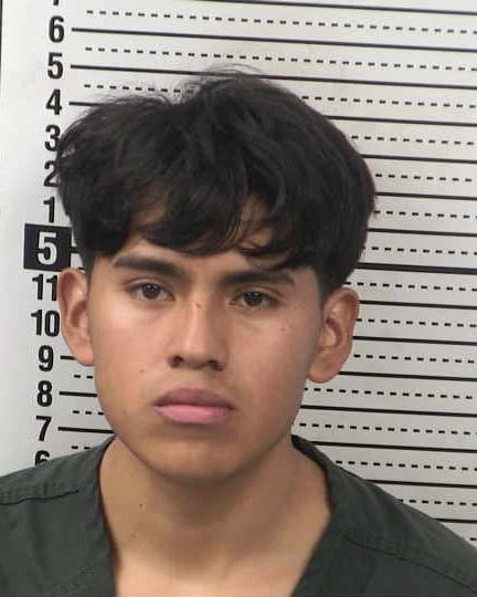 SERVANDO PENA-ALVAREZ mugshot - Las Cruces arrest booking photo, Doña Ana County