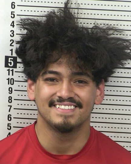 DAMIAN DELGADILLO mugshot - Las Cruces arrest booking photo, Doña Ana County