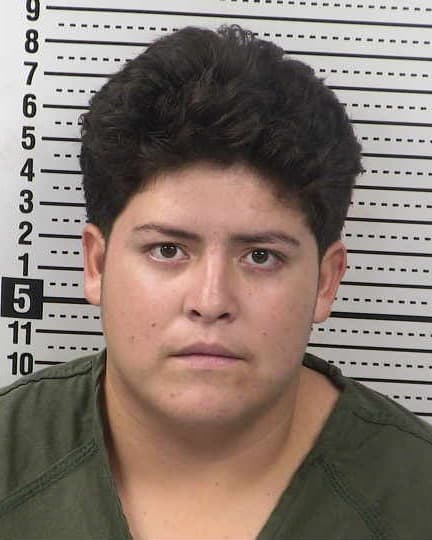 LEONARDO SORIANO-AVILA mugshot - Las Cruces arrest booking photo, Doña Ana County