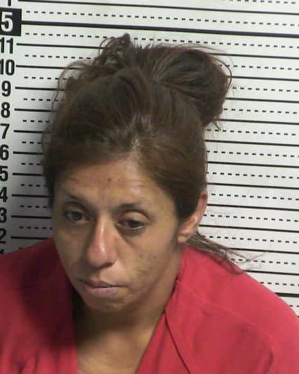 ERIKA VIVIANA MORALES mugshot - Las Cruces arrest booking photo, Doña Ana County