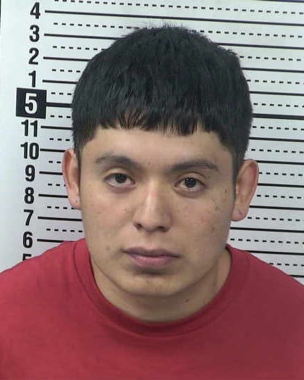 EDUARDO REYES-CARRERA mugshot - Las Cruces arrest booking photo, Doña Ana County