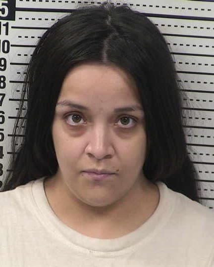 XOCHITL FLORES mugshot - Las Cruces arrest, Doña Ana County