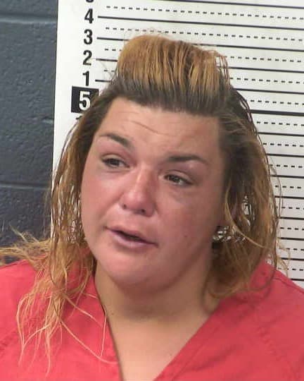 DESIREE N FERNANDO mugshot - Las Cruces arrest booking photo, Doña Ana County