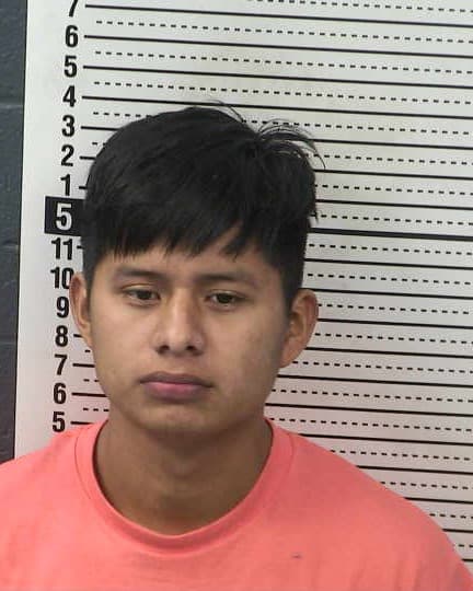ALEXIS LOPEZ-CARRETO mugshot - Las Cruces arrest booking photo, Doña Ana County
