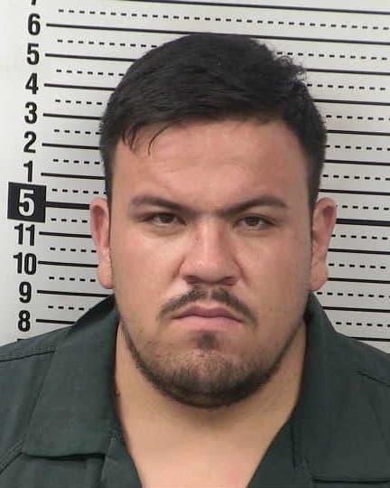 ALAN REYES-LOPEZ mugshot - Las Cruces arrest booking photo, Doña Ana County