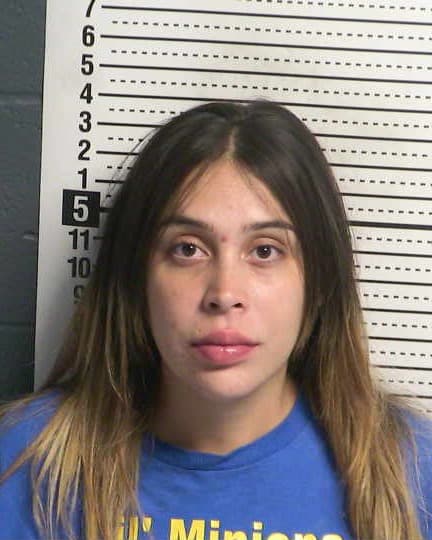 DANIELA HERMOSILLO mugshot - Las Cruces arrest booking photo, Doña Ana County