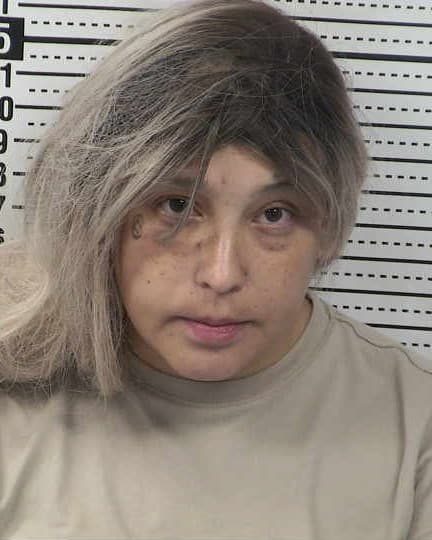 MINERVA ANN GARCIA mugshot - Las Cruces arrest booking photo, Doña Ana County