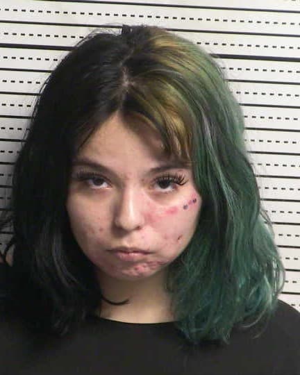 JAZZMINE JOHNS mugshot - Las Cruces arrest booking photo, Doña Ana County