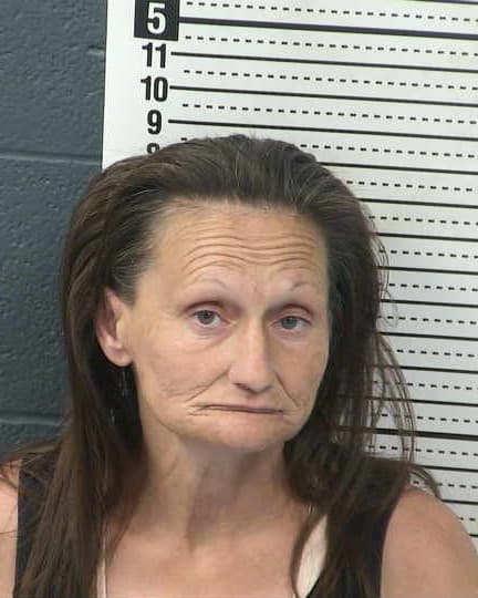 LEANNA YVONNE JAIME mugshot - Las Cruces arrest booking photo, Doña Ana County