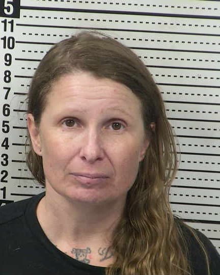LESLEY M BOHN mugshot - Las Cruces arrest booking photo, Doña Ana County