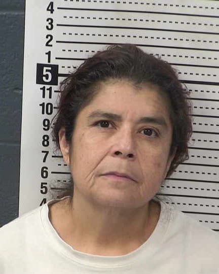 MANUELA FLORES mugshot - Las Cruces arrest booking photo, Doña Ana County