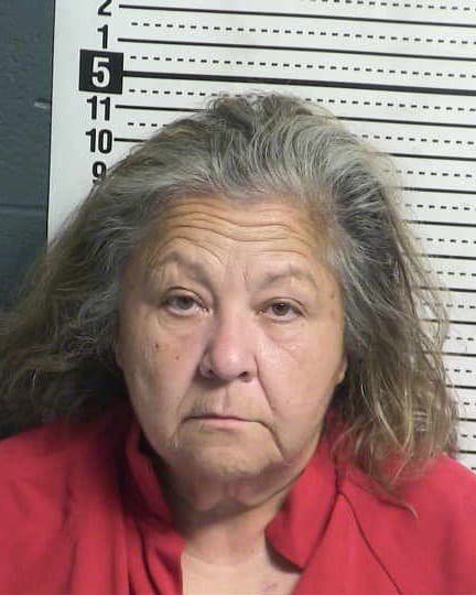 LETICIA SERNA mugshot - Las Cruces arrest, Doña Ana County