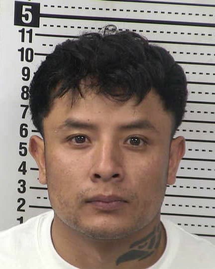 RICARDO CASTILLO-LANDA mugshot - Las Cruces arrest booking photo, Doña Ana County