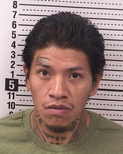 TRACY ANTONIO mugshot - Las Cruces arrest booking photo, Doña Ana County