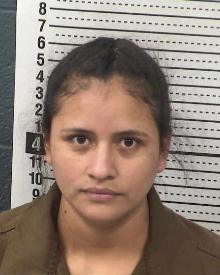 PAULA ALVAREZ-CHAMORRO mugshot - Las Cruces arrest booking photo, Doña Ana County