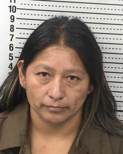 PATRICIA JIMENEZ-PEREZ mugshot - Las Cruces arrest booking photo, Doña Ana County