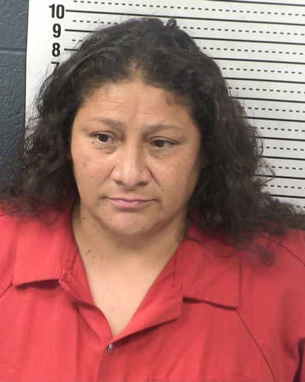 ANGIE CHAVEZ RAAMIREZ mugshot - Las Cruces arrest booking photo, Doña Ana County