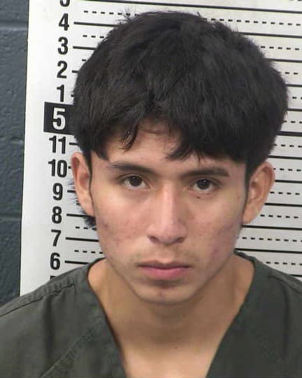DEYVI DOMINGO ALVAREZ-ALVAREZ mugshot - Las Cruces arrest booking photo, Doña Ana County