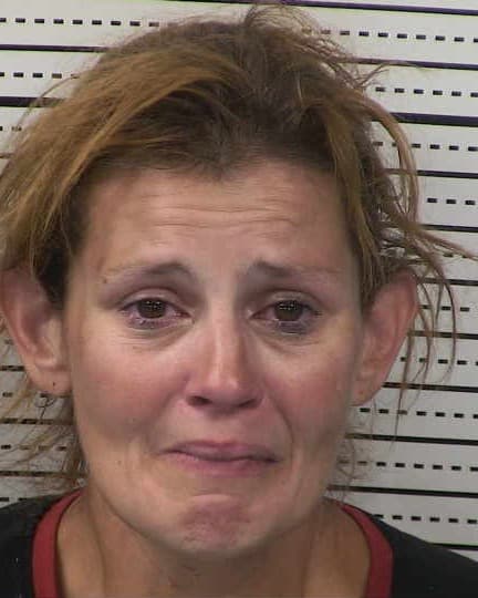 STEPHANIE J WADDELL mugshot - Las Cruces arrest booking photo, Doña Ana County