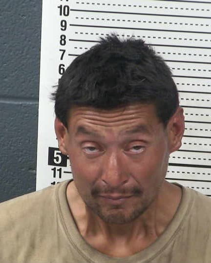 SERGIO CARLOS REYES mugshot - Las Cruces arrest booking photo, Doña Ana County