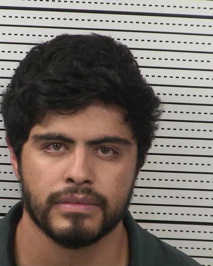 ALEXIS FLORES-CASTRO mugshot - Las Cruces arrest booking photo, Doña Ana County