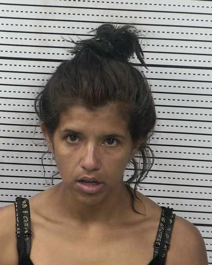 MANUELA IVETH LIRA mugshot - Las Cruces arrest booking photo, Doña Ana County