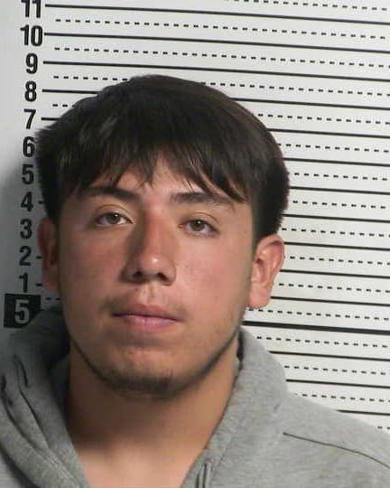 IRA MARIO BARDMESS mugshot - Las Cruces arrest booking photo, Doña Ana County